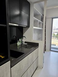 The Rise @ Oxley (D9), Condominium #632104361